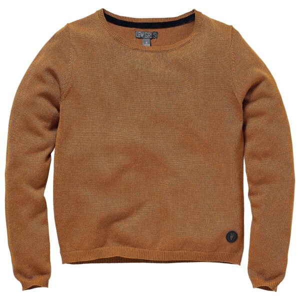 LEVV Meisjes trui - Rilana - Bruin caramel