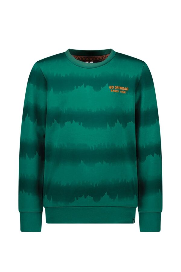 B.Nosy Jongens sweater - Ollie - Ants AOP