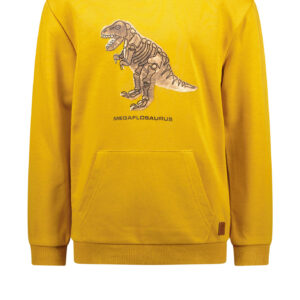 Like Flo Jongens hoodie - Pumpkin