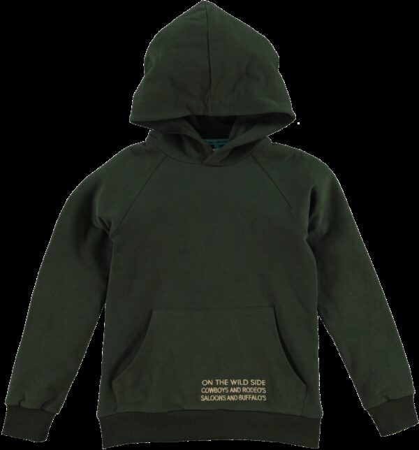 B'Chill Jongens sweater - Elbert - Groen